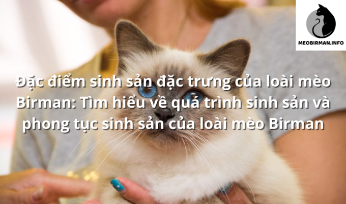 Đặc điểm sinh sản đặc trưng của loài mèo Birman: Tìm hiểu về quá trình sinh sản và phong tục sinh sản của loài mèo Birman