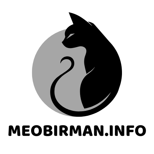 meobirman.info