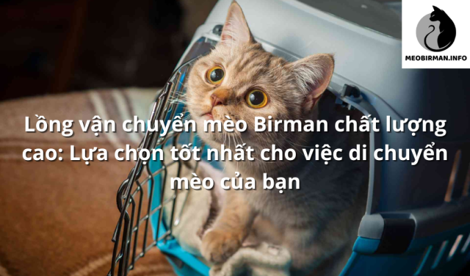 Lồng vận chuyển mèo Birman chất lượng cao: Lựa chọn tốt nhất cho việc di chuyển mèo của bạn