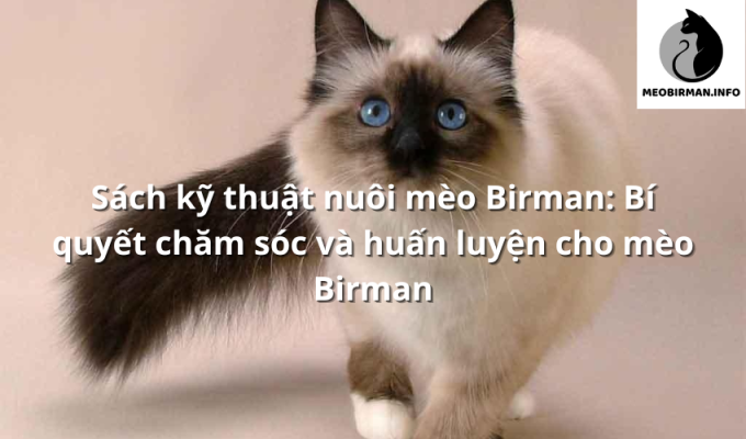 Sách kỹ thuật nuôi mèo Birman: Bí quyết chăm sóc và huấn luyện cho mèo Birman