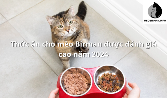 Thức ăn cho mèo Birman được đánh giá cao năm 2024